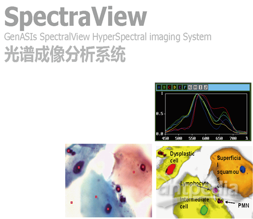 <em>SpectraView</em>光谱成像分析系统