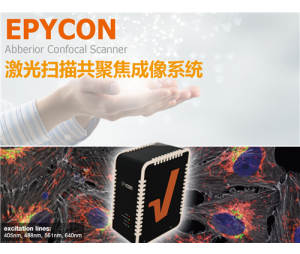 EPYCON激光扫描共聚焦显微镜