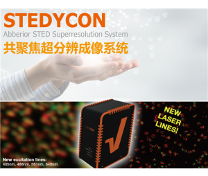 STEDYCON 新世代超分辨共聚焦显微镜
