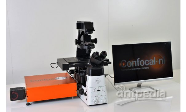 重扫共聚焦显微镜（RCM）