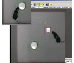 小鼠新物体识别箱系统