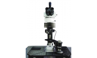 Scientifica MP-2050双光子显微镜