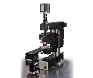 Scientifica MP-1000双光子显微镜