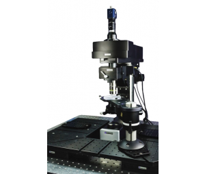 Scientifica MP-2000双光子显微镜