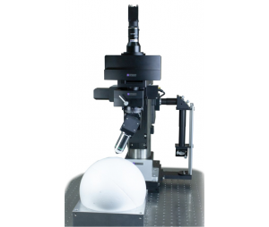 Scientifica MP-100794双光子显微镜