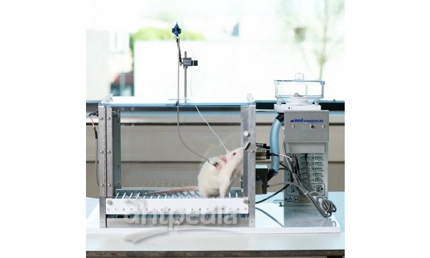 大鼠单通道自主给药系统