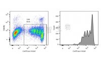 CellTrace染色检测淋巴细胞增殖