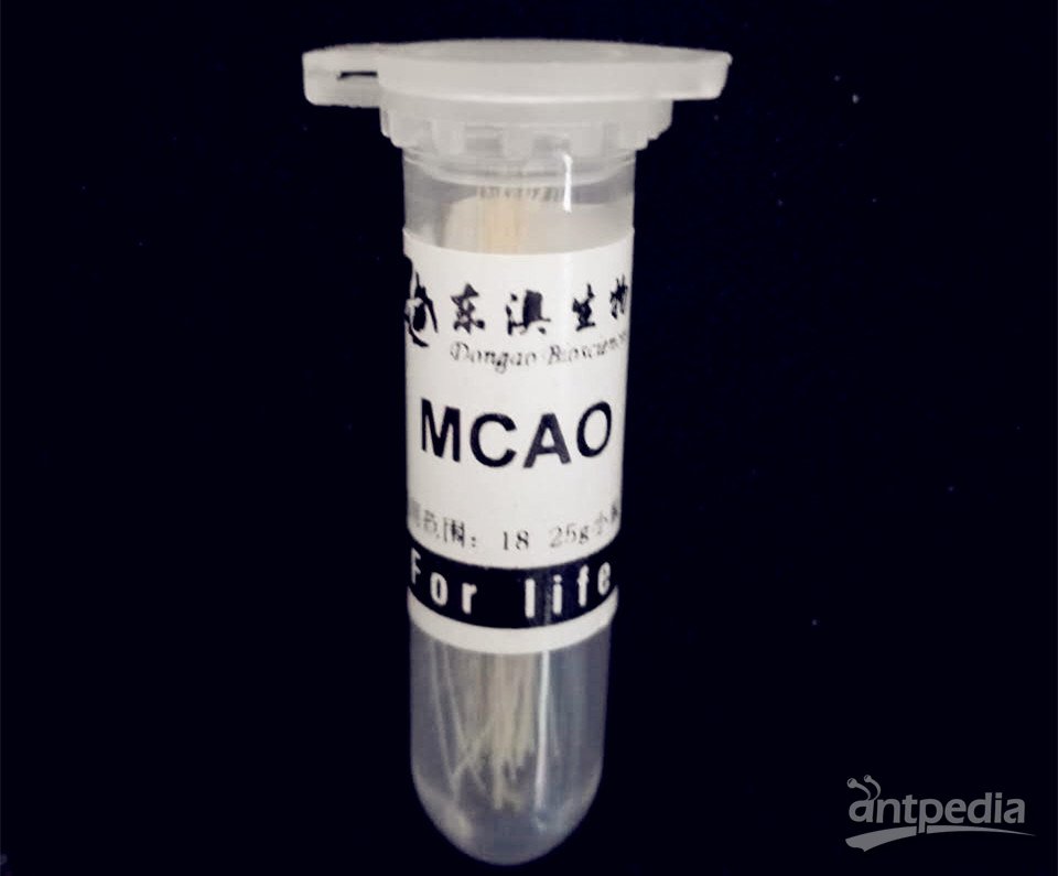 大/小鼠脑缺血MCAO模型尼龙栓线（线栓