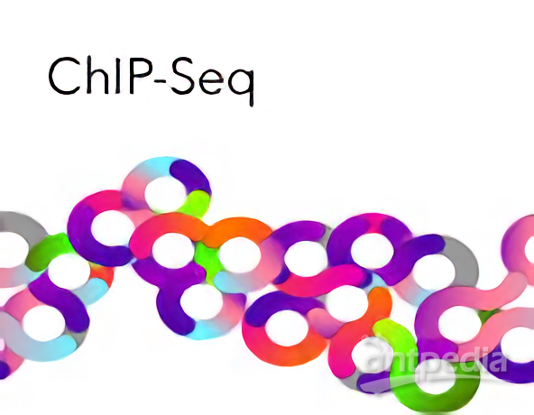 染色质免疫共沉淀 ChIP-Seq 技术服务