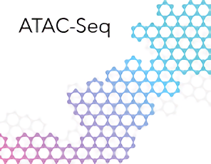 ATAC-Seq 技术服务