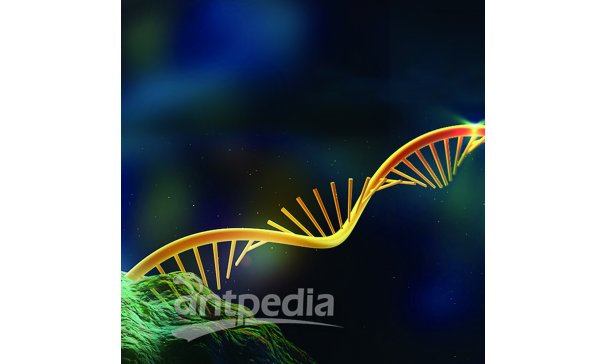 mRNA测序