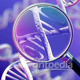 全基因组甲基化测序（WGBS