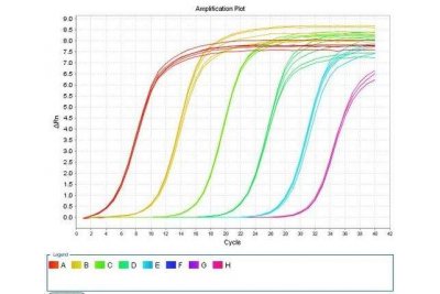 PCR引物设计—实验报告单、原始数据、扩增、溶解曲线、数据分析-引物溶解曲线怎么看