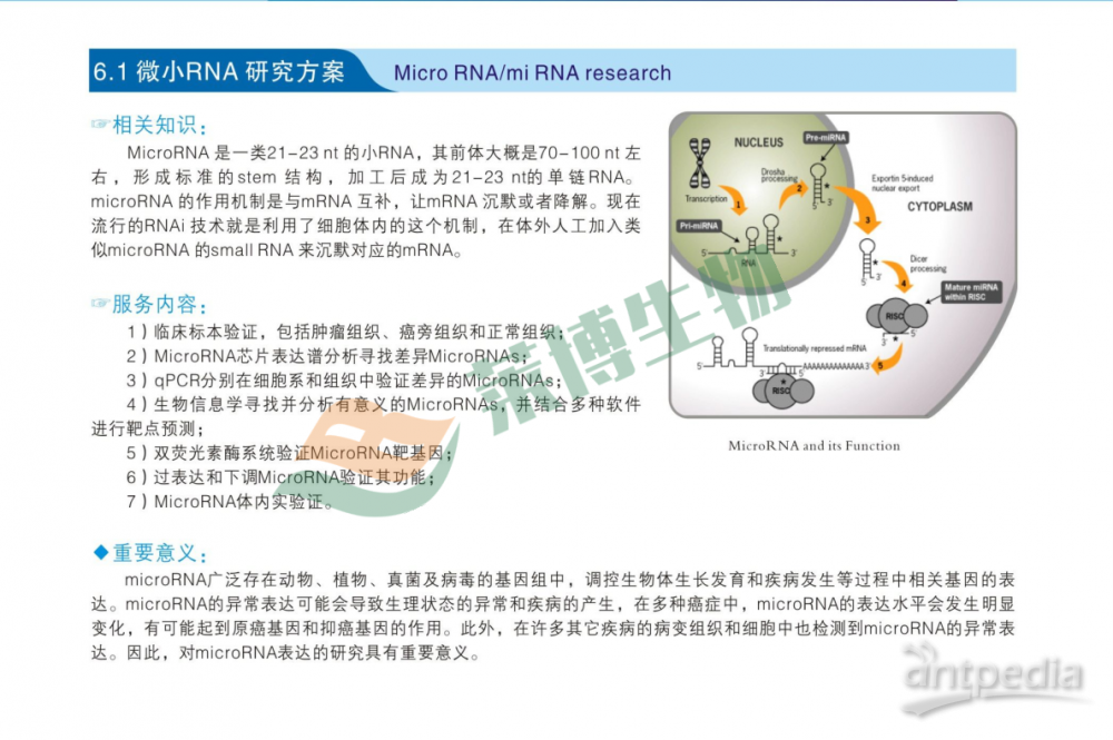MicroRNA研究策略——高分整体课题设计、整体实验、文章发表-分析<em>研究课题</em>