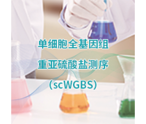 单微量细胞全基因组甲基化测序 (scWGBS）-易基因