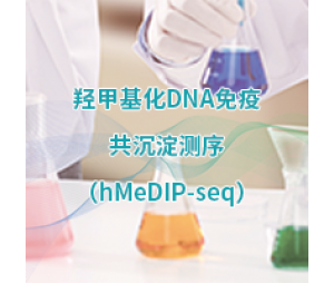 羟甲基化DNA免疫共沉淀测序(hMeDIP-Seq)
