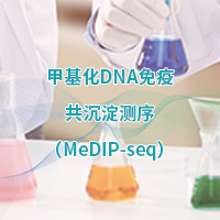 甲基化DNA免疫共沉淀<em>测序</em>(<em>MeDIP</em>-Seq)