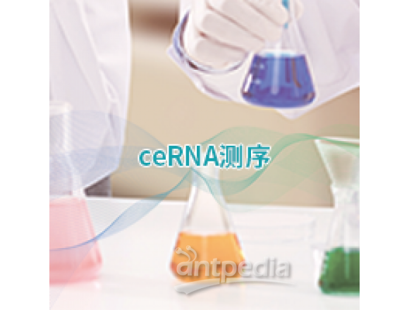 ceRNA测序