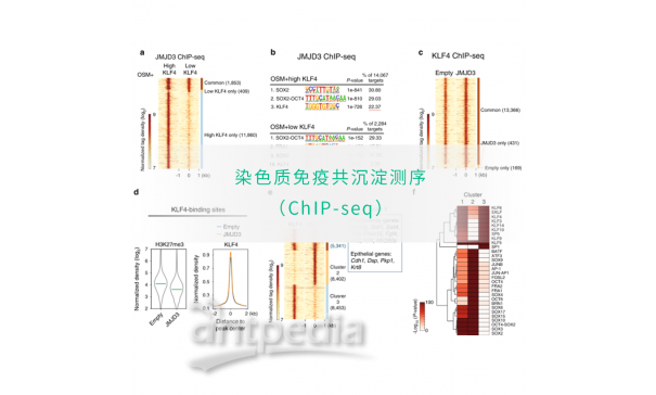 染色质免疫共沉淀测序技术（ChIP-seq）-易基因