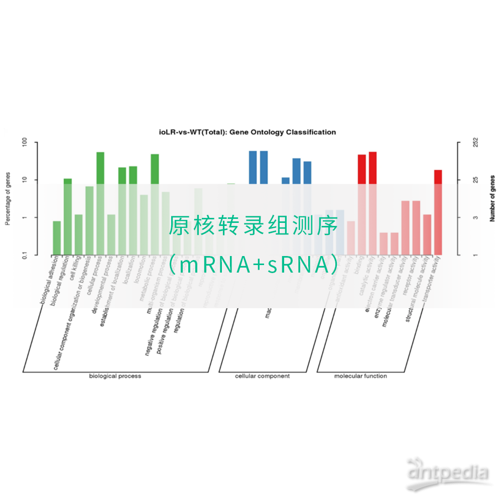 原核转录组<em>测序</em>（mRNA+<em>sRNA</em>）