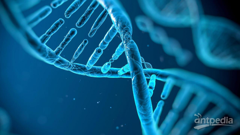 基因测序服务-基因测序服务公司