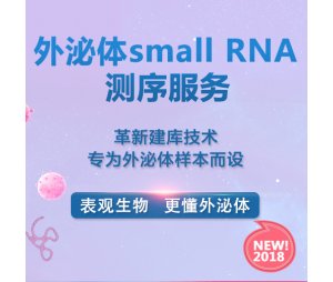 外泌体small RNA测序服务-外泌体检测