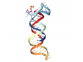 LongRNA-seq（mRNA,circRNA,lncrna)测序服务-测序服务费