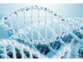 全基因组甲基化测序-全基因组甲基化测序有rna污染影响大吗