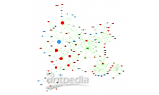 Global Signal Transduction Network-global signal transduction network