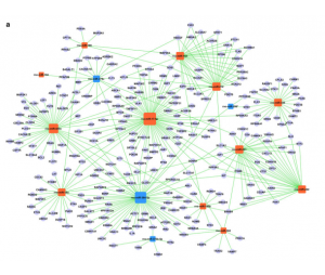 MicroRNA Target Pathway Network-microrna target pathway network