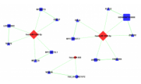 CircRNA-mRNA-miRNA-Network-circrna-mrna-mirna-network
