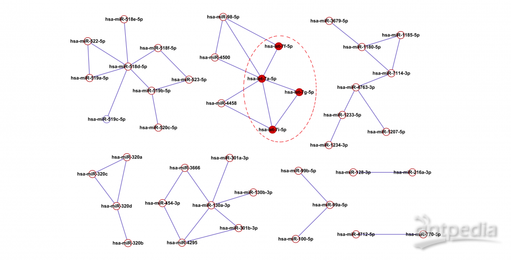 <em>miRNA-miRNA</em>-correlation Network