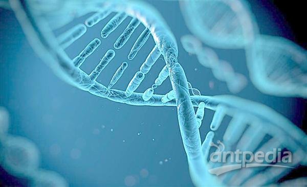 <em>基因</em>DNA抽取