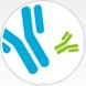 单克隆抗体制备--【武汉巴菲尔生物】生物技术服务专家
