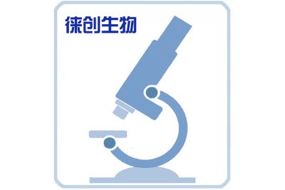 细胞增殖（MTT\CCK-8检测法）技术服务