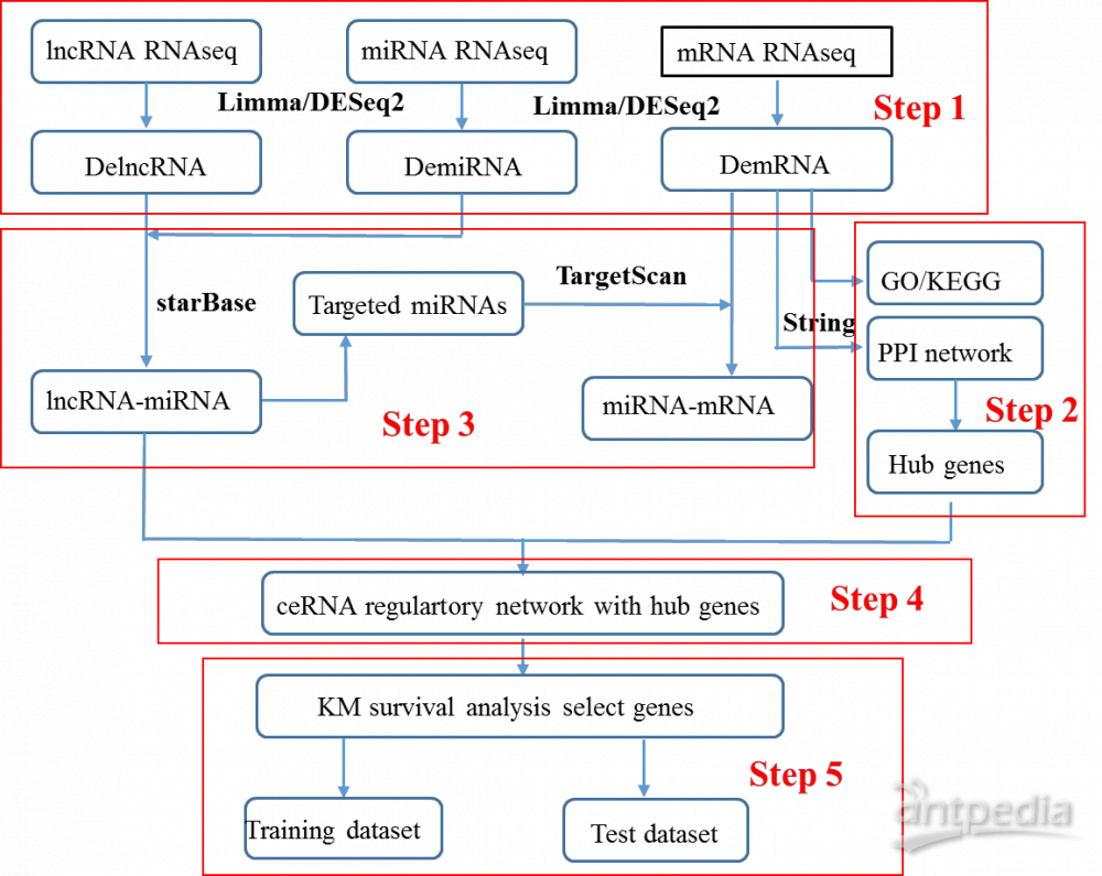 生物信息学分析——ceRNA网络研究整体思路