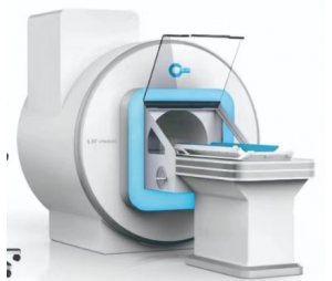 动物磁共振影像服务（MRI）