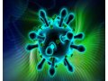 基因转染利器—慢病毒包装