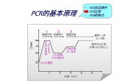 QPCR/Realtime PCR/RT-PCR检测服务