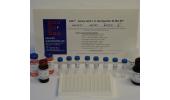 6-酮前列腺素（6-K）放免试剂盒及放免检测服务