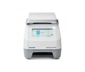Eppendorf Mastercycler X50 梯度 PCR 仪