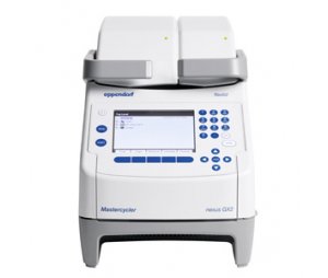 Eppendorf Mastercycler nexus X2 PCR仪