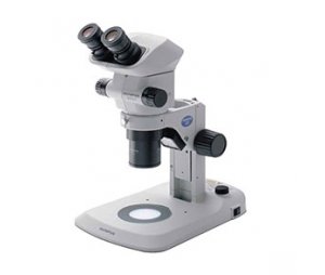 常规体视显微镜