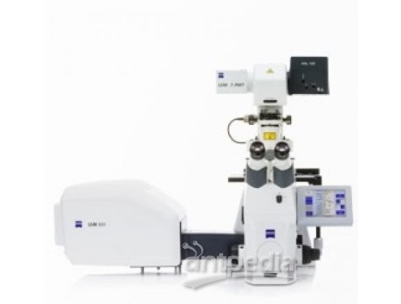 LSM 800 with Airyscan高效显微镜数码显微镜