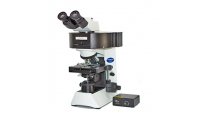 荧光生物显微镜创诚致佳CX31