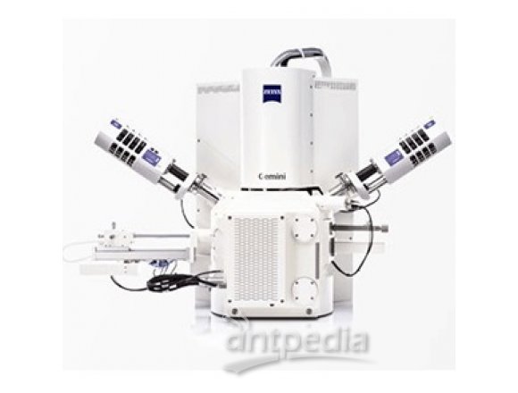 扫描电镜Sigma 系列产品场发射扫描电子显微镜