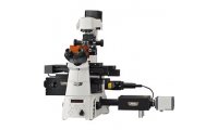 数码显微镜N-STO​RM 4.0超分辨显微成像系统