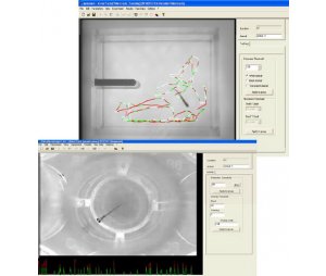 斑马鱼胚胎/幼鱼/成鱼行为分析软件 ZebraLab 
