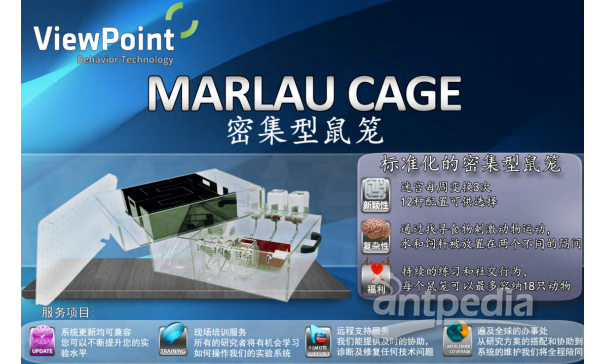 密集型鼠笼 Marlau Cage