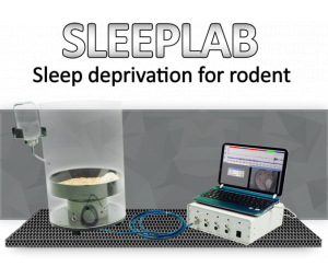 SleepScore啮齿动物睡眠剥夺系统